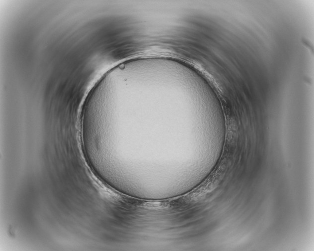 X0000093371478200710251143