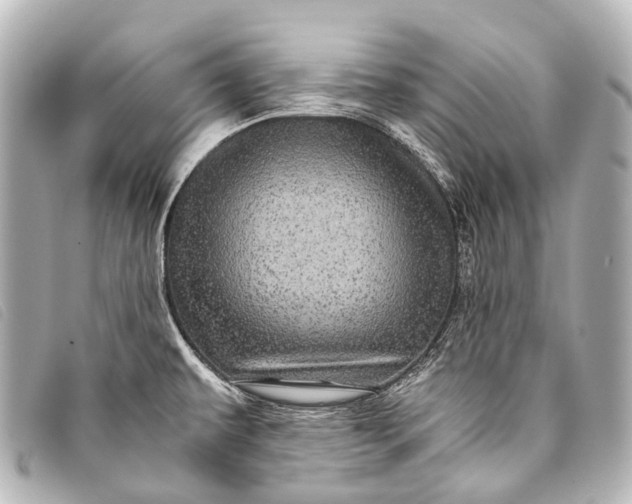 X0000093371479200710251143