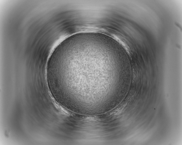 X0000093371480200710251143