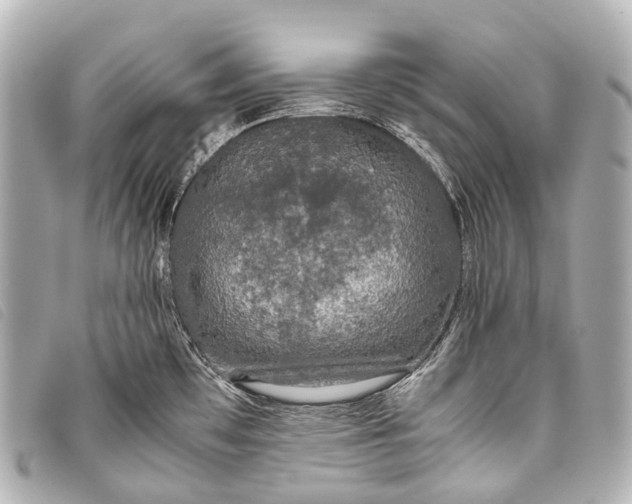 X0000093371481200710251143