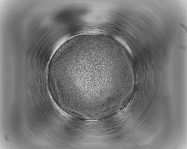 X0000093371483200710251142