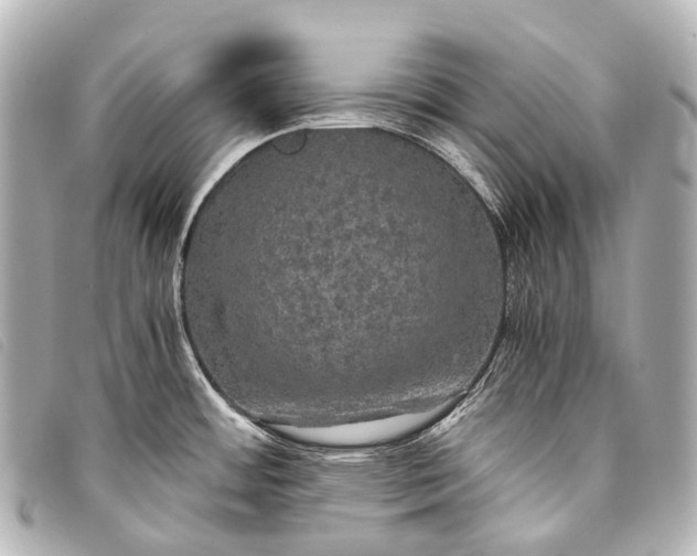 X0000093371484200710251142