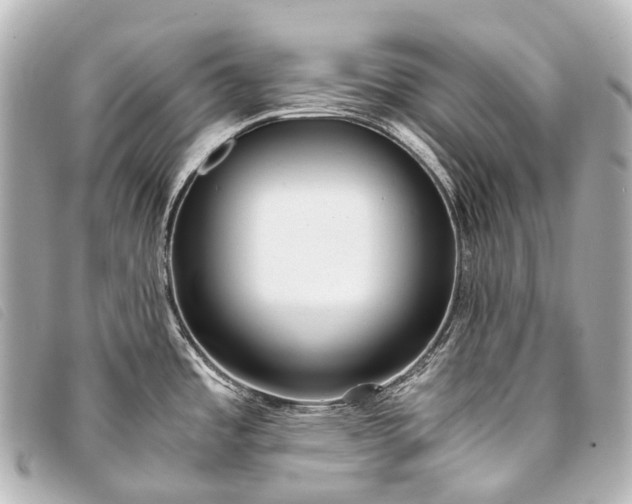 X0000093371485200710251142