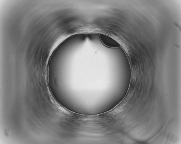 X0000093371486200710251142