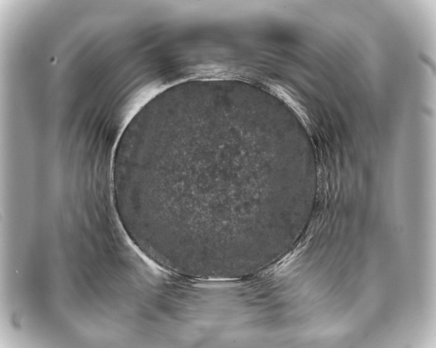 X0000093371487200710251142