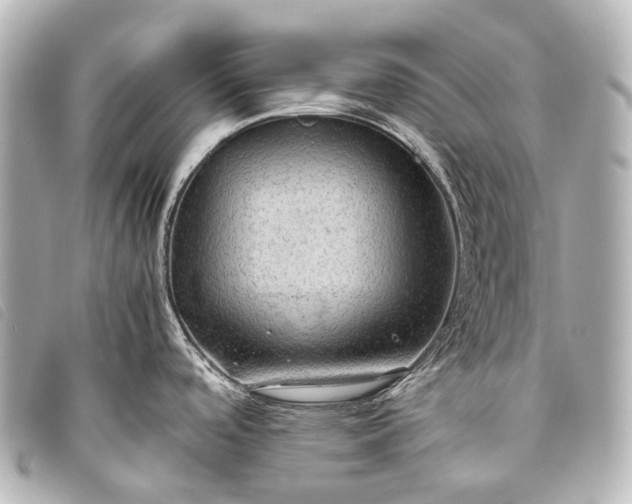 X0000093371488200710251142