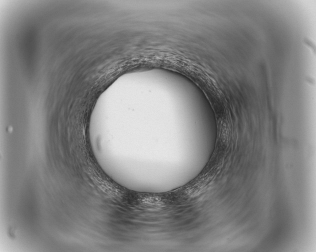 X0000093371489200710251142