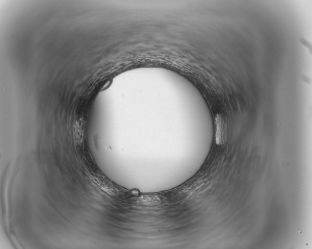 X0000093371491200710251142