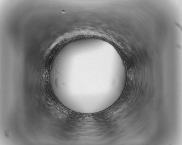 X0000093371495200710251142