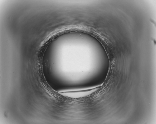 X0000093371496200710251142