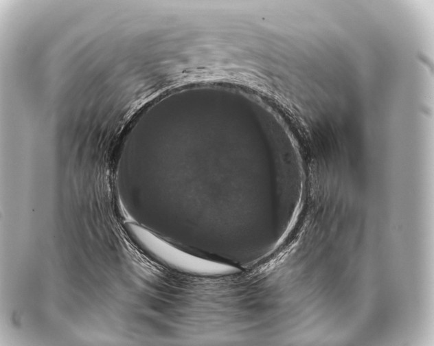 X0000093371497200710251142