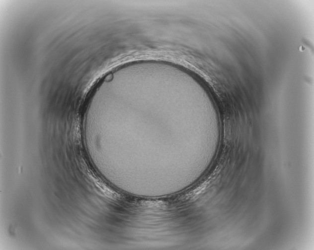 X0000093371498200710251142