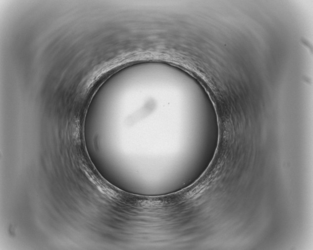 X0000093371499200710251142