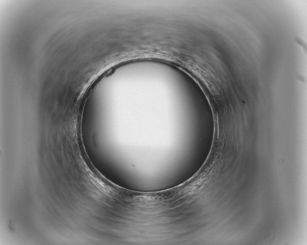 X0000093371500200710251142