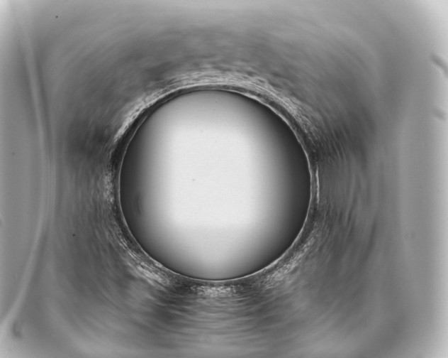 X0000093371501200710251142