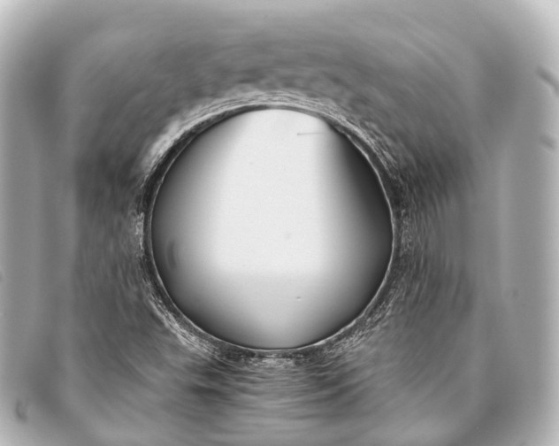 X0000093371503200710251142