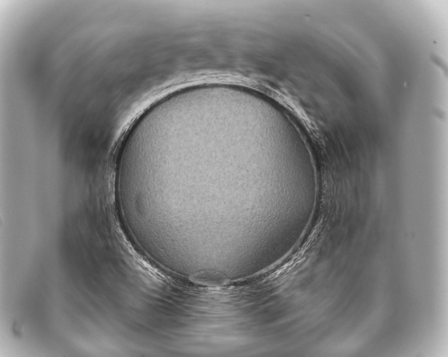 X0000093371504200710251142