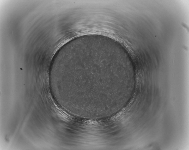 X0000093371505200710251142