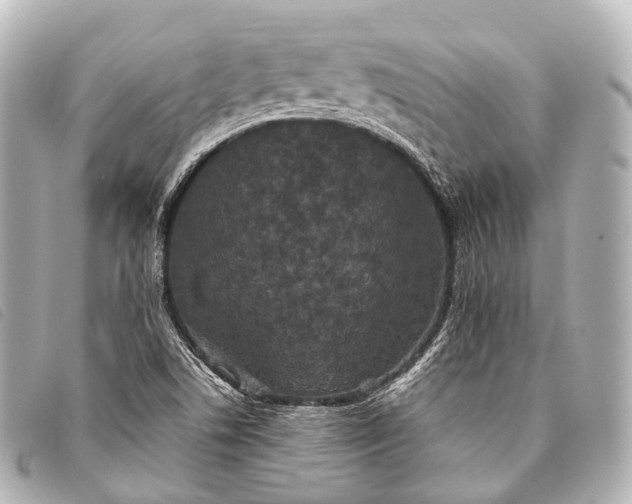 X0000093371506200710251142