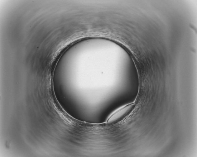 X0000093371507200710251142