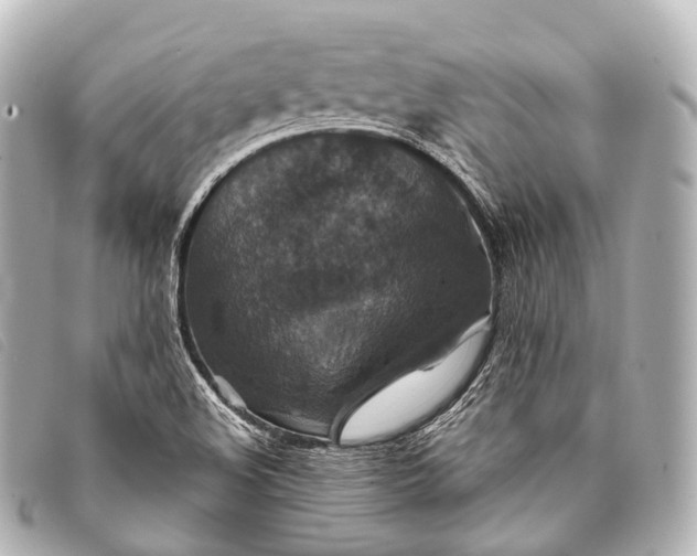 X0000093371508200710251142