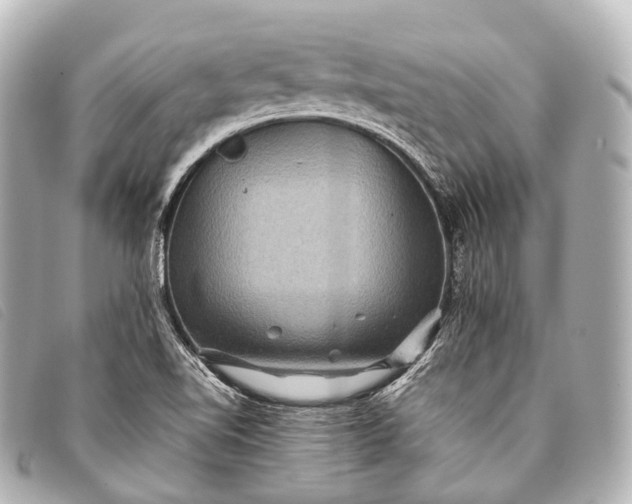 X0000093371510200710251142