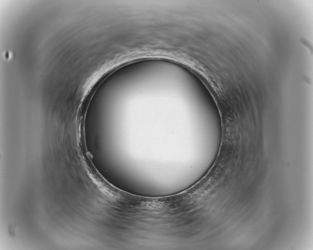 X0000093371511200710251142