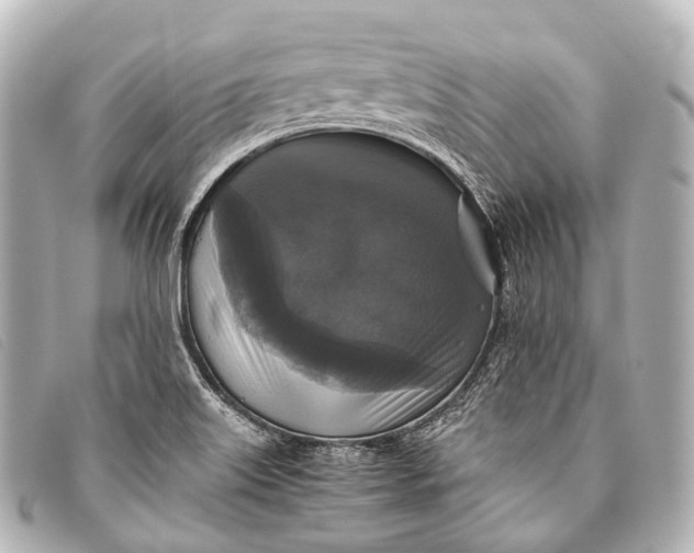 X0000093371515200710251142