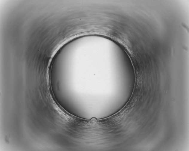 X0000093371516200710251142