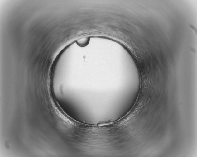 X0000093371518200710251142