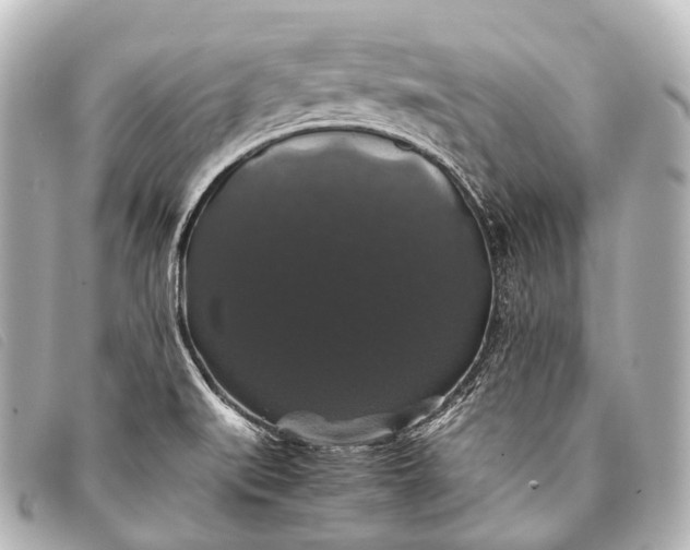 X0000093371519200710251142