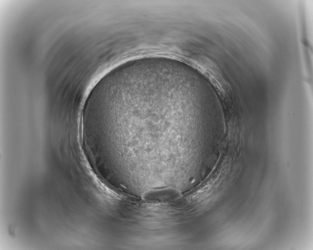 X0000093371520200710251142