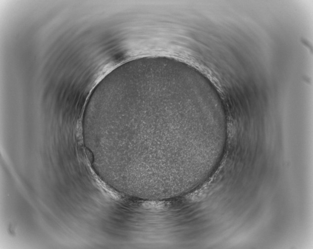 X0000093371521200710251142