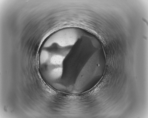 X0000093371522200710251142