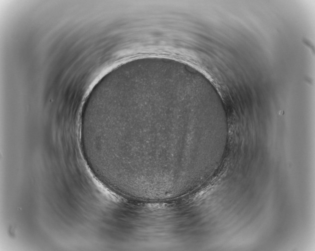 X0000093371523200710251142