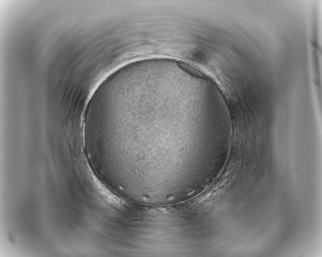 X0000093371524200710251142