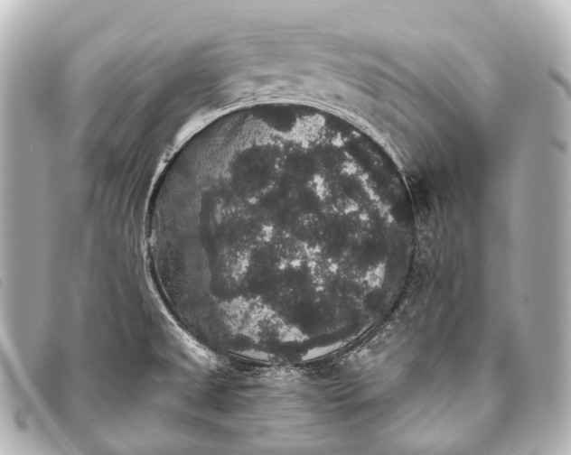 X0000093371525200710251142