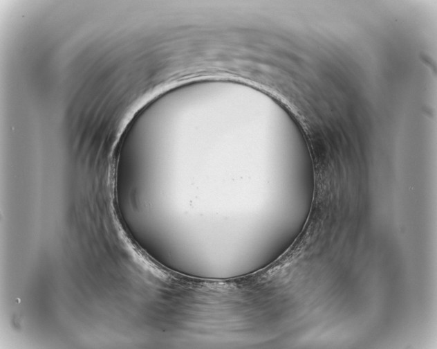 X0000093371526200710251142