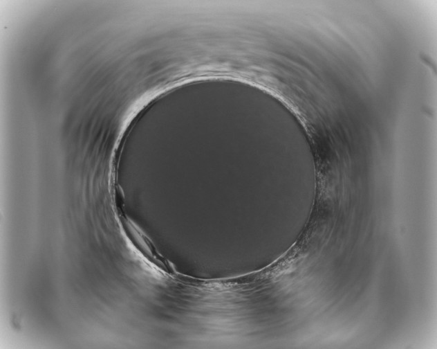 X0000093371527200710251142