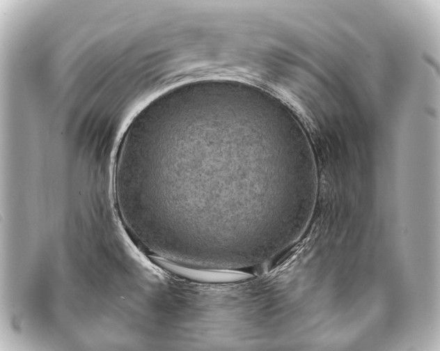 X0000093371528200710251142