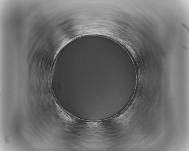 X0000093371529200710251142