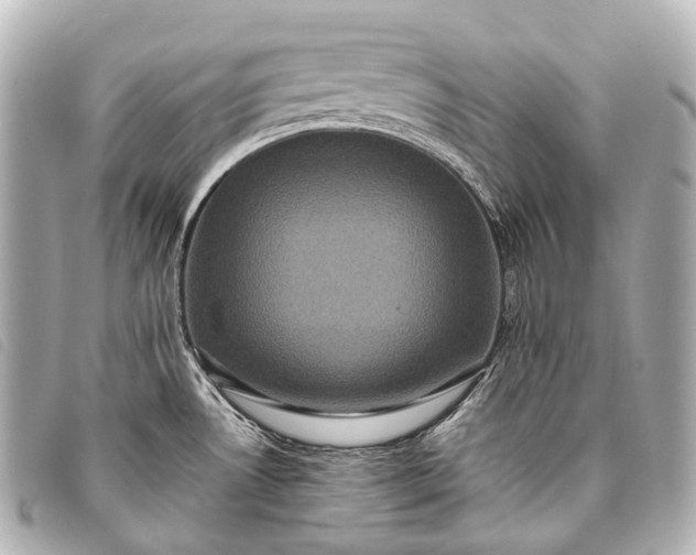 X0000093371530200710251142