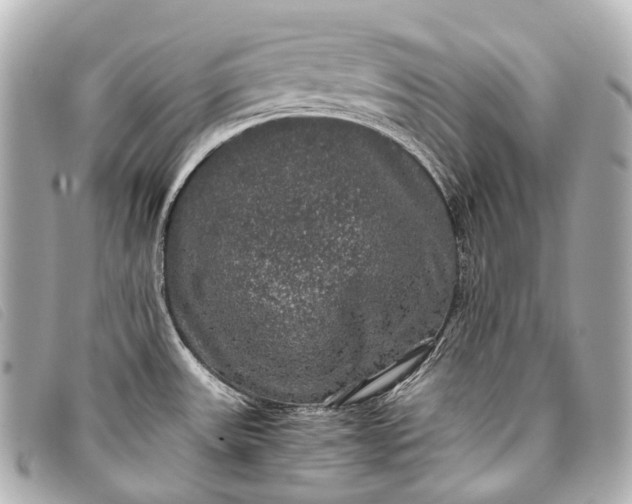 X0000093371531200710251142