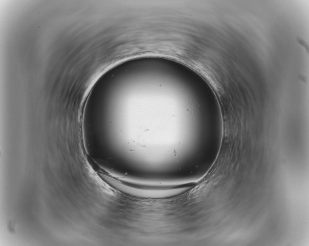 X0000093371532200710251142