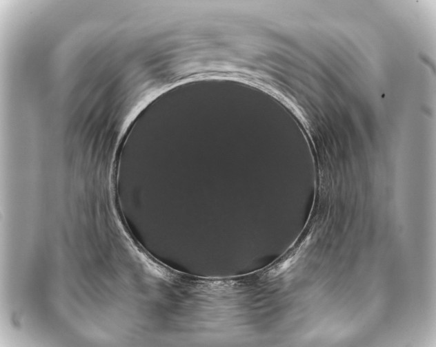 X0000093371533200710251142