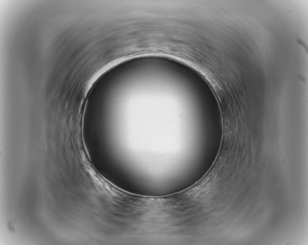 X0000093371534200710251142