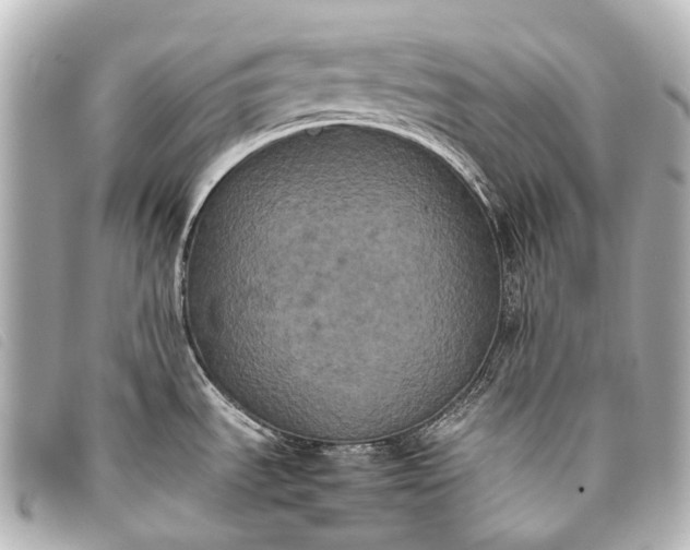 X0000093371535200710251142