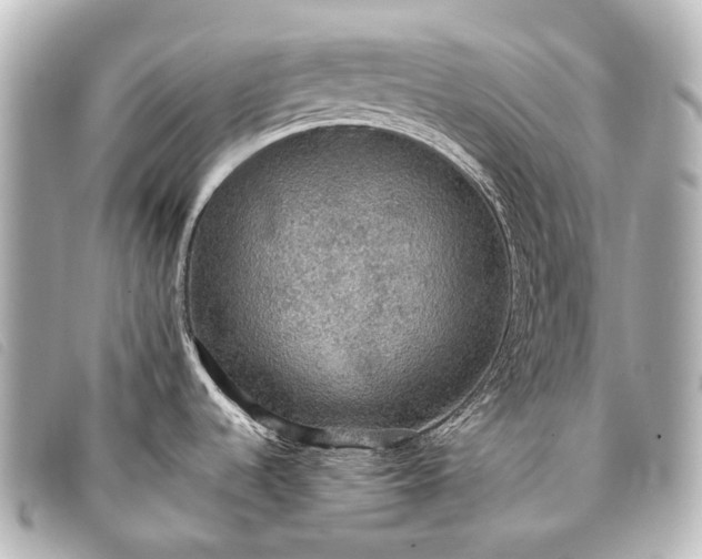 X0000093371536200710251142