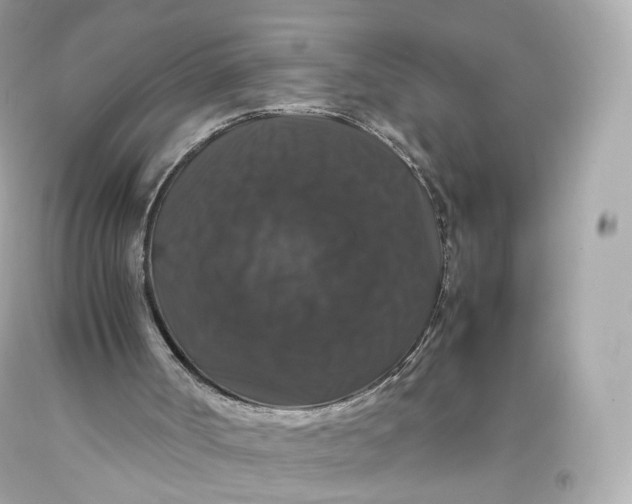 X0000093370002200711011238