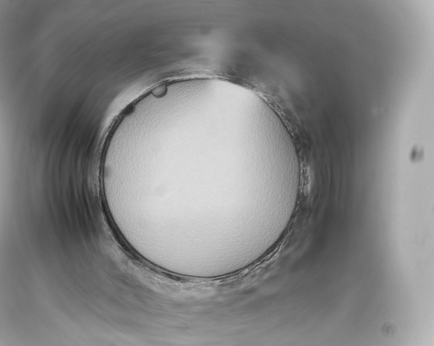 X0000093370004200711011238